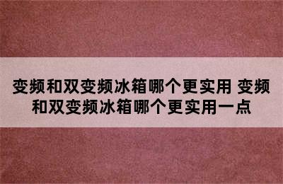 变频和双变频冰箱哪个更实用 变频和双变频冰箱哪个更实用一点